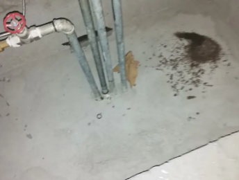 卢龙卫生间测漏水价格明细